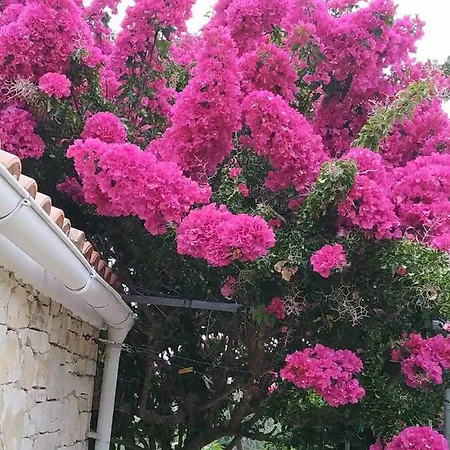 דירה Loulaki Magazia Paxi *