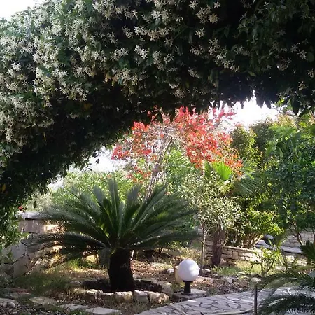 Loulaki Magazia Paxi Arvanitakeika