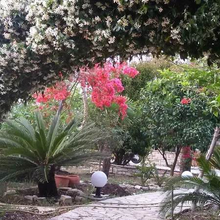 Loulaki Magazia Paxi * Arvanitakeika