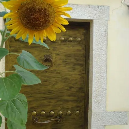 Loulaki Magazia Paxi Apartmán