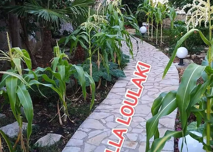 Loulaki Magazia Paxi Lejlighed *